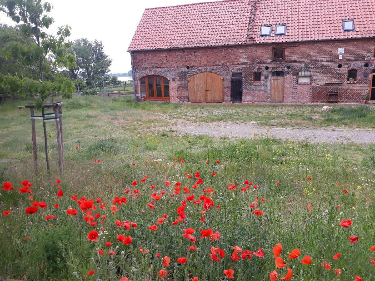 An Den Elbwiesen Gz Fewo Elbeblick Nur Nichtraucher Dommitzsch Esterno foto